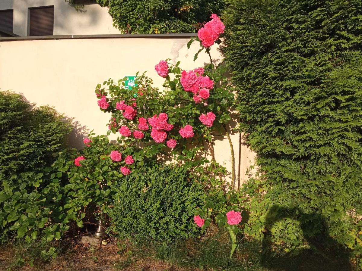 Iwona Hostel - Budget Rooms With Private Bathrooms Sopot Esterno foto